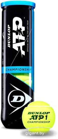 Мяч Dunlop ATP Championship (4 шт)
