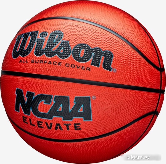 Баскетбольный мяч Wilson Ncaa Elevate WZ3007001XB5 (5 размер)