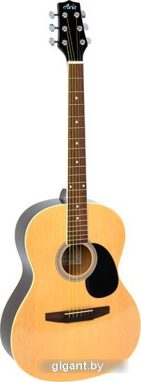 Акустическая гитара Aris FS-39 NL